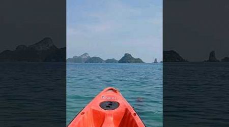 Koh Samui Adventure Kayaking! #shorts