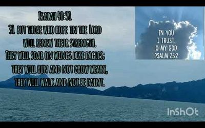 #Psalms 27 ----#Koh Samui #Suratthani #Thailand Video Background