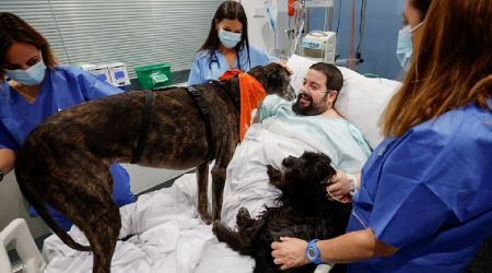 Spanish hospital enlists therapy dogs to boost ICU patients' morale