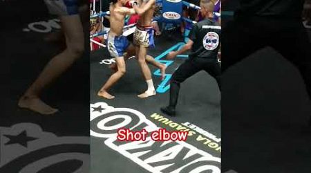 shot elbow #short #muaythai #มวยไทย #phuket #boxing #bangla #thailand