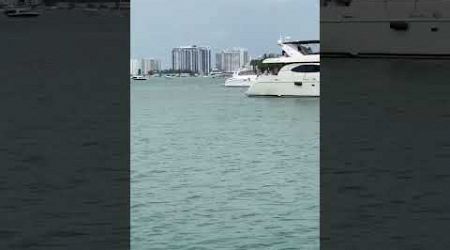 Miami boat tour. #miamibeach #miamiboats #sharingmoore #shorts #shortvideo #yachtlife #yachts