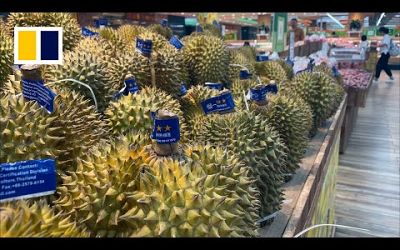 Heatwave panics Thai durian farmers
