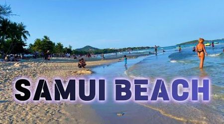 Koh Samui Beach – the enchanting beauty of a tropical paradise #walkingtour #walkingvideo #thailand