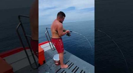 Bottom fishing. рыбалка на Пхукете. #fishing #phuket #subscribe #shorts