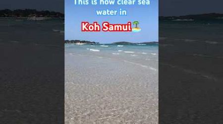 This is how clear the seawater in Koh Samui Island. #shorts #thailand #beach