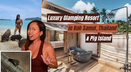 Ultra-Luxe Glamping in Thailand | Pig Island + Close Encounter with Nature
