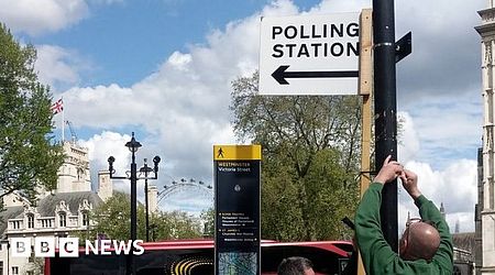 What to watch out for in the local elections