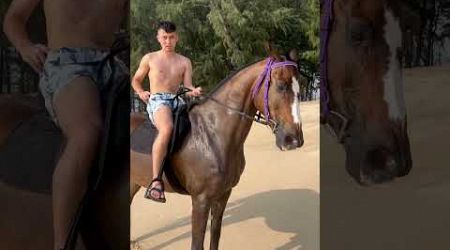 Phuket,Thailand ,Jusmin horse riding bangtao beach 