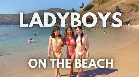 Ladyboys in Phuket Lydia, Rita &amp; Taylor in Phuket| iaminadreams