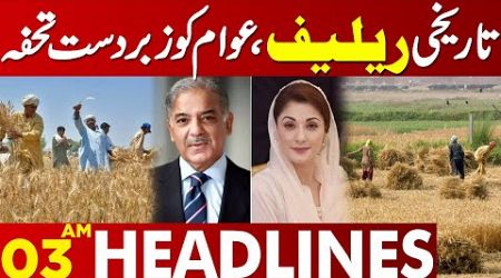 Big Relief for Farmers by Government | Lahore News Headlines 03 AM | 04 May 2024