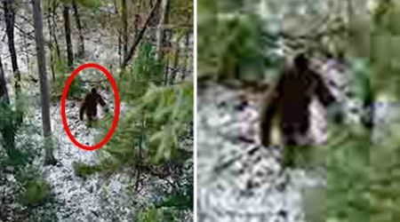 The US Government Just Released TERRIFYING Bigfoot Photos