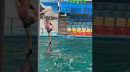 Dolphin show in phuket must watch #youtubeshorts