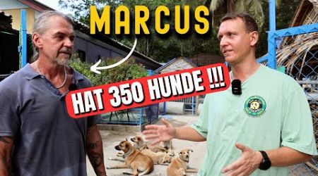 Thailand Auswanderer Doku: Der Mann mit den 350 Hunden | Koh Samui