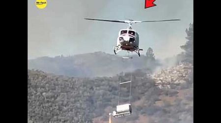 Why is this government helicopter setting fire to the forest?