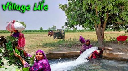 Punjab Life Tour | Woman Work In Village Lifestyle | Mud House Life Tour | Traditional Life Vlog