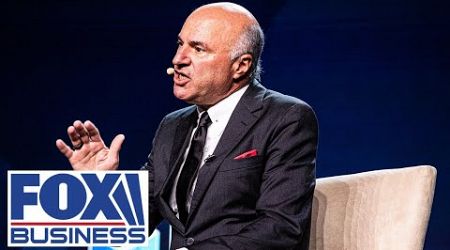 &#39;IDIOT&#39;: O&#39;Leary unleashes on CEO who praised anti-Israel protests