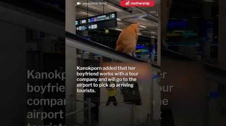 9-month-old cat becomes new tourist attraction at Bangkok&#39;s Suvarnabhumi Airport