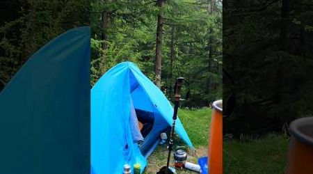Solo ⛺Camping in Forest 