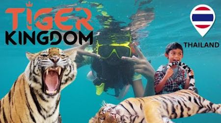 Can You Cuddle Tigers in Thailand? | Tiger Kingdom Phuket Vlog