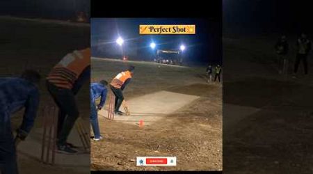 #cricket #cricketlover #plastic #shortsfeed #sports ..