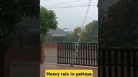 #heavyrain #rainsound #pattaya #thailand #naturelovers #rainyday #shortsthailand #rain
