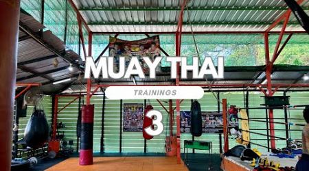 Tayland’da Muay Thai Antrenmanı Yapmak 3 - Lamai Muay Thai - Ko Samui