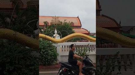 Temple And The Big Golden Snake .. Pattaya Thailand #shortvideo #shorts