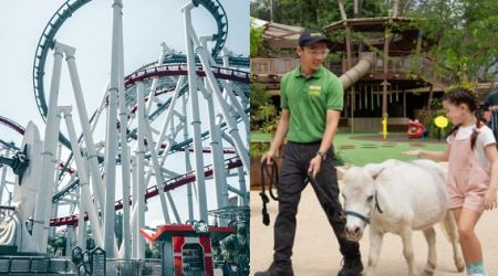 Singapore's Universal Studios, zoo and Gardens by the Bay in top 50 list of global attractions travellers want to revisit