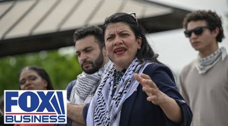I&#39;ll tell everything you need to know about Rashida Tlaib: Lee Zeldin