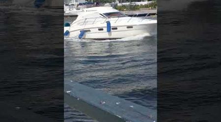 White Yacht dragging Fenders on the Miami River | Chit Flix (P)