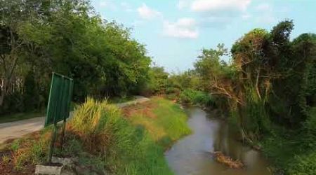 10.5 Rai Rubber Plantation with Irrigation Canal View for Sale in Khok Kloi, Phang Nga