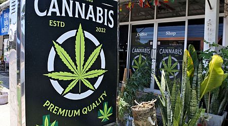 Thailand’s Cannabis Re-Criminalization Risks Street Protests and Industry Lawsuits