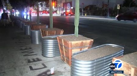 Hollywood businesses set up garden beds, planters along sidewalk to clear homeless encampments