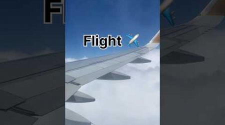 Flight ✈️ #travel #flight #automobile #travelvlog #minivlog #foryou #viral #flightblogger #vlog