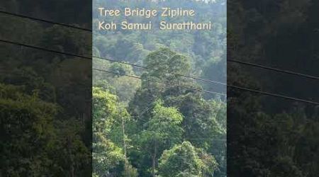 Tree Bridge Zipline Koh Samui Suratthani