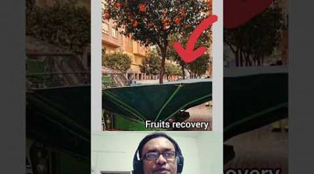 New update Fruits recovery #duet #foryou #love #reels #fruits #technology #machine
