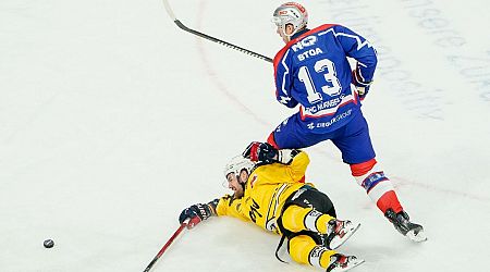 Sport: Nürnberg verlängert mit erfahrenem Eishockey-Stürmer Stoa