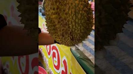 GIANT DURIAN CUTTING 4 | Thai Fruit #food #fruit #thailand #durian
