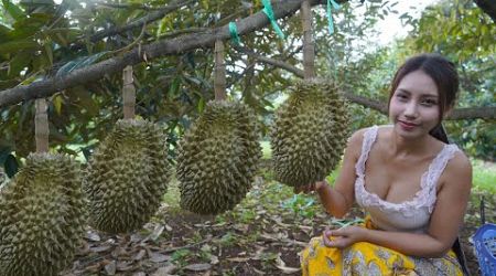 Durian fruit in my countryside and cook food recipe - Polin lifestyle