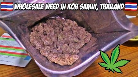 I Visited A Weed Wholesaler In Koh Samui, Thailand