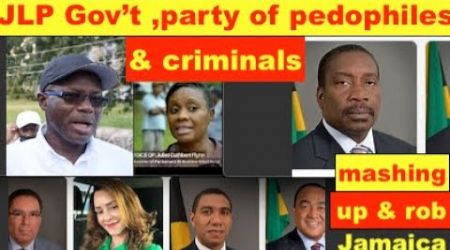 JLP Government, the party of corruption, pedophiles and criminals.Attacking Mark Golding character