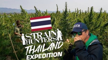 Strain Hunters: Thailand Expedition FULL DOCUMENTARY
