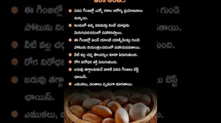 &quot;Hidden Gems: Benefits of Panasa Seeds!&quot; #ayurveda #health #healthyfood #youtubeshorts #tips