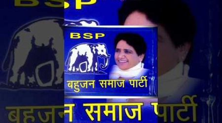 BSP lover status politics #bhimravambedkar #mayawati #uttarpradesh #nextcm #viral #youtubeshorts