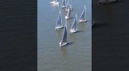 J24 start with a over early #learntosail #sailboat #sailboatracing #learntosail #viral #sailing