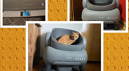 Neakasa M1 Self-Cleaning Litter Box Review: Automated No-Scoop Cleaning