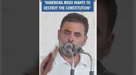 #Shorts | &quot;Narendra Modi wants to destroy the constitution&quot; | Rahul Gandhi | Amethi | Uttar Pradesh