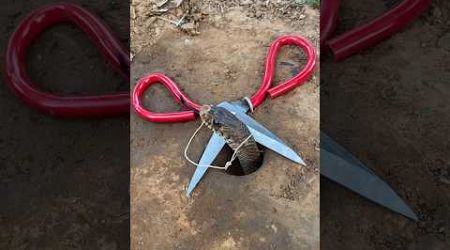 Bast creative diy technology snake trap using cutter in hole #shorts