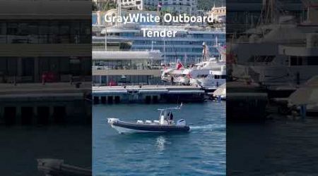 GrayWhite Tender#trending #viralvideo #travel #summer #beach #beachlife#yacht#boat #tender #500subs