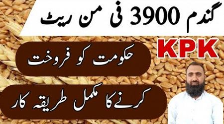 How to sell wheat to KPK Government || Bilal Kanju Official